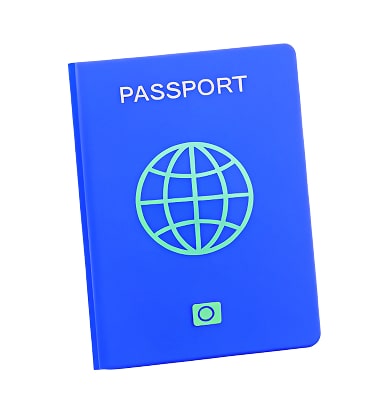 Passport Icon